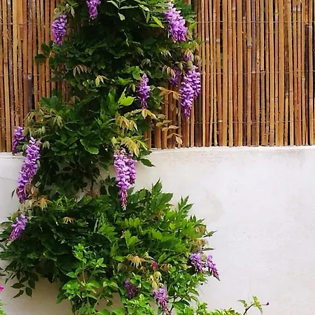 La Casa Malu